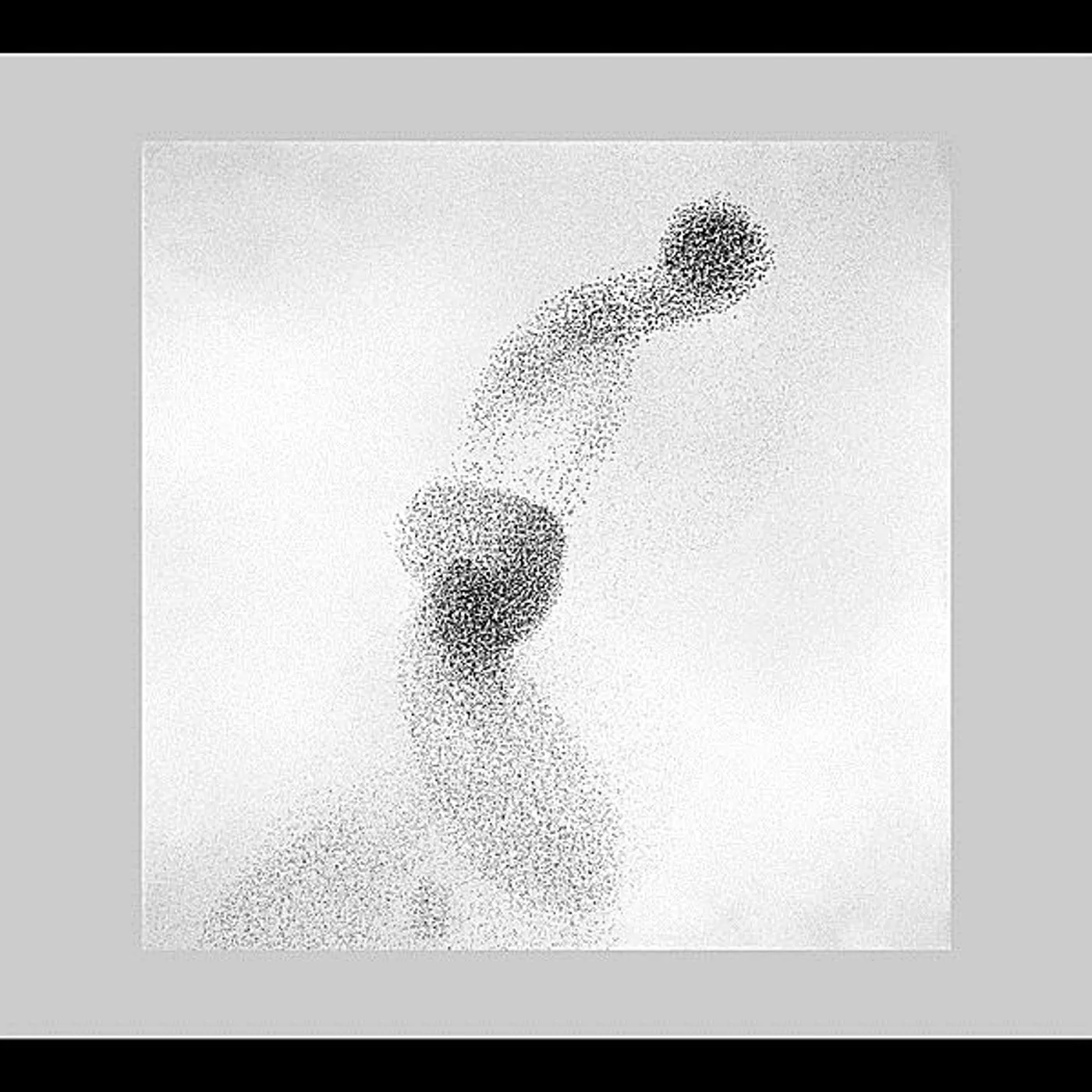 Random Touch FLOCK CD