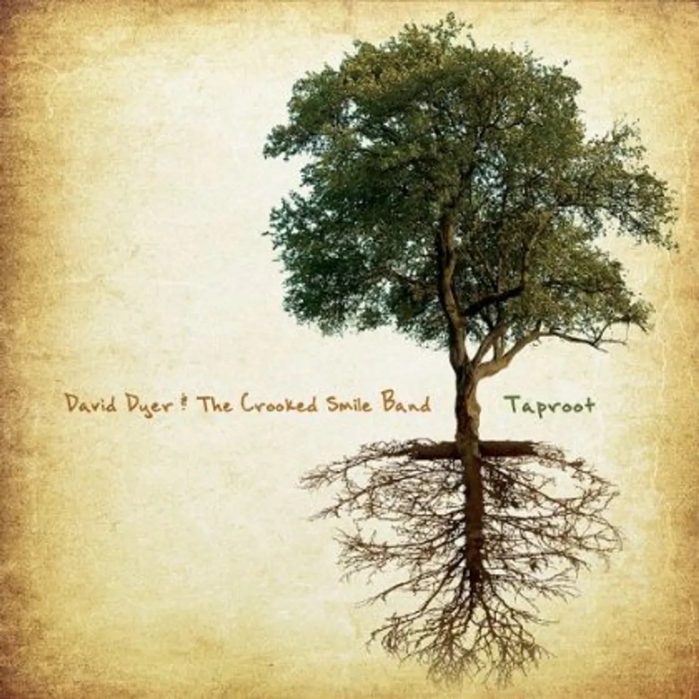 David Dyer & The Crooked Smile Band TAPROOT CD