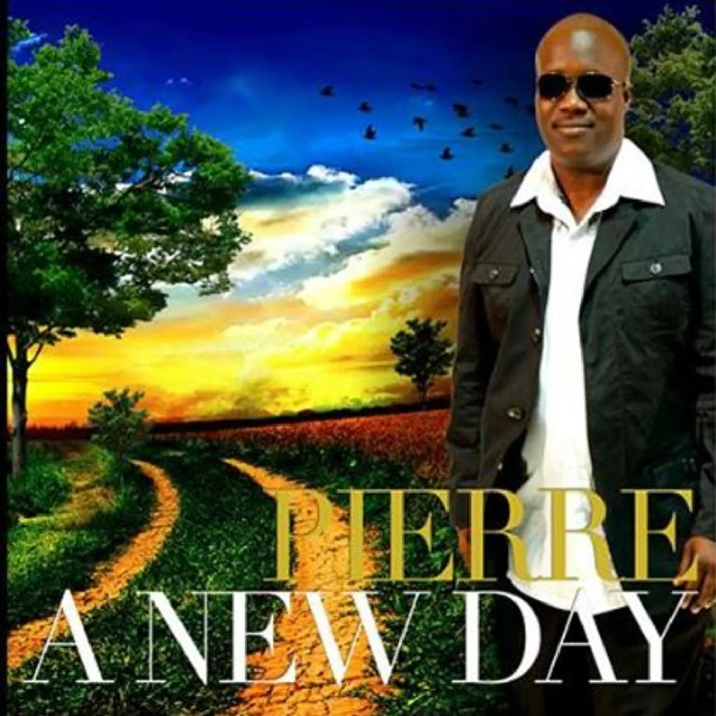Pierre NEW DAY CD