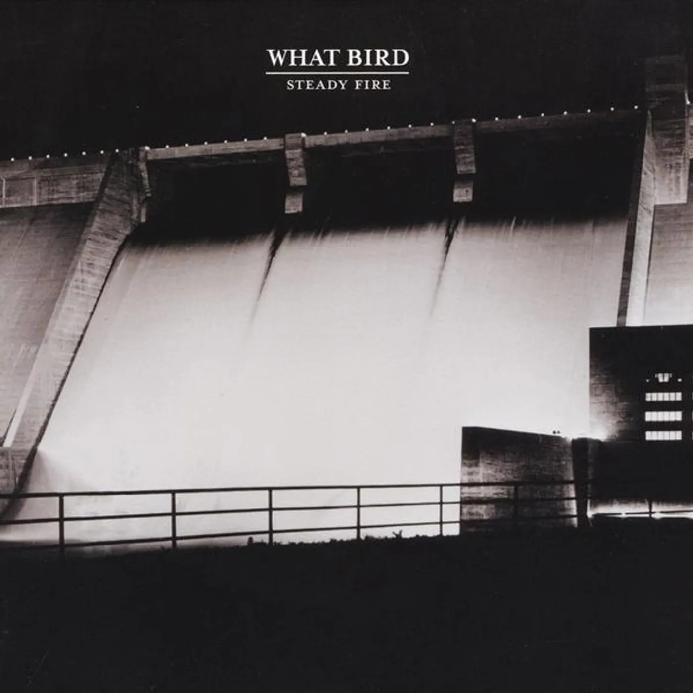 What Bird STEADY FIRE CD