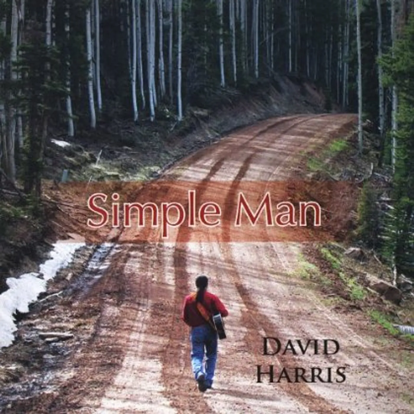 David Harris SIMPLE MAN CD