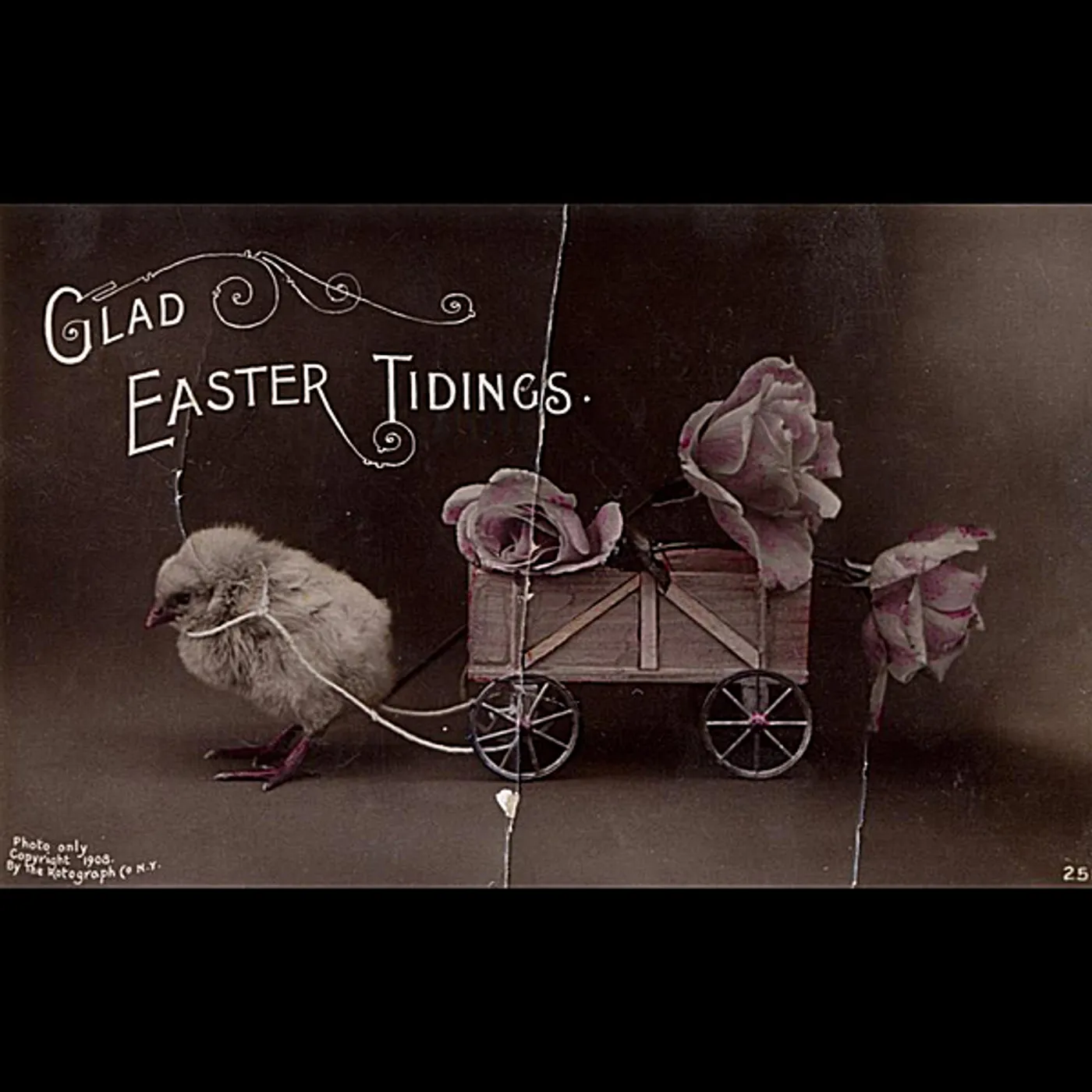 Paul Smith GLAD EASTER ISLAND TIDINGS CD