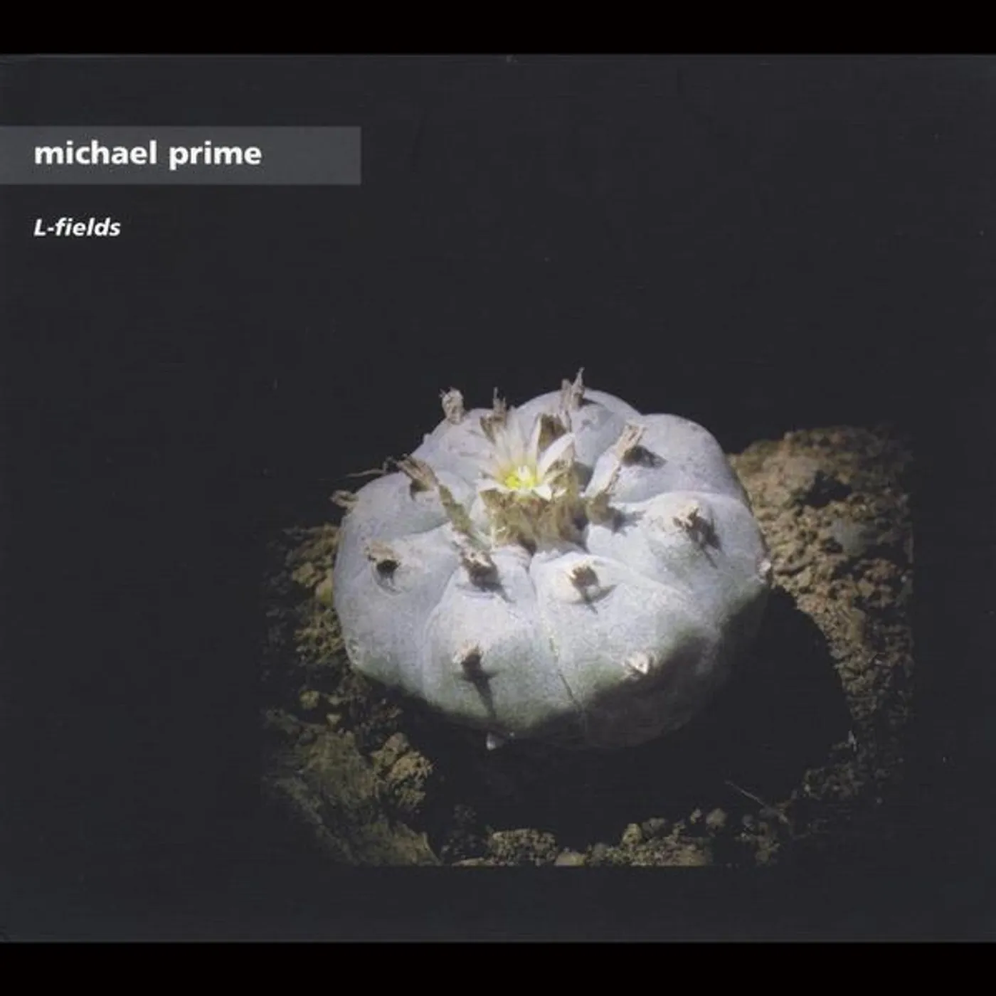 Michael Prime L-FIELDS CD