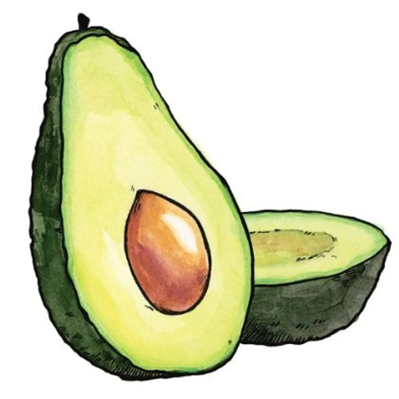 Sonar THE GUAC CD