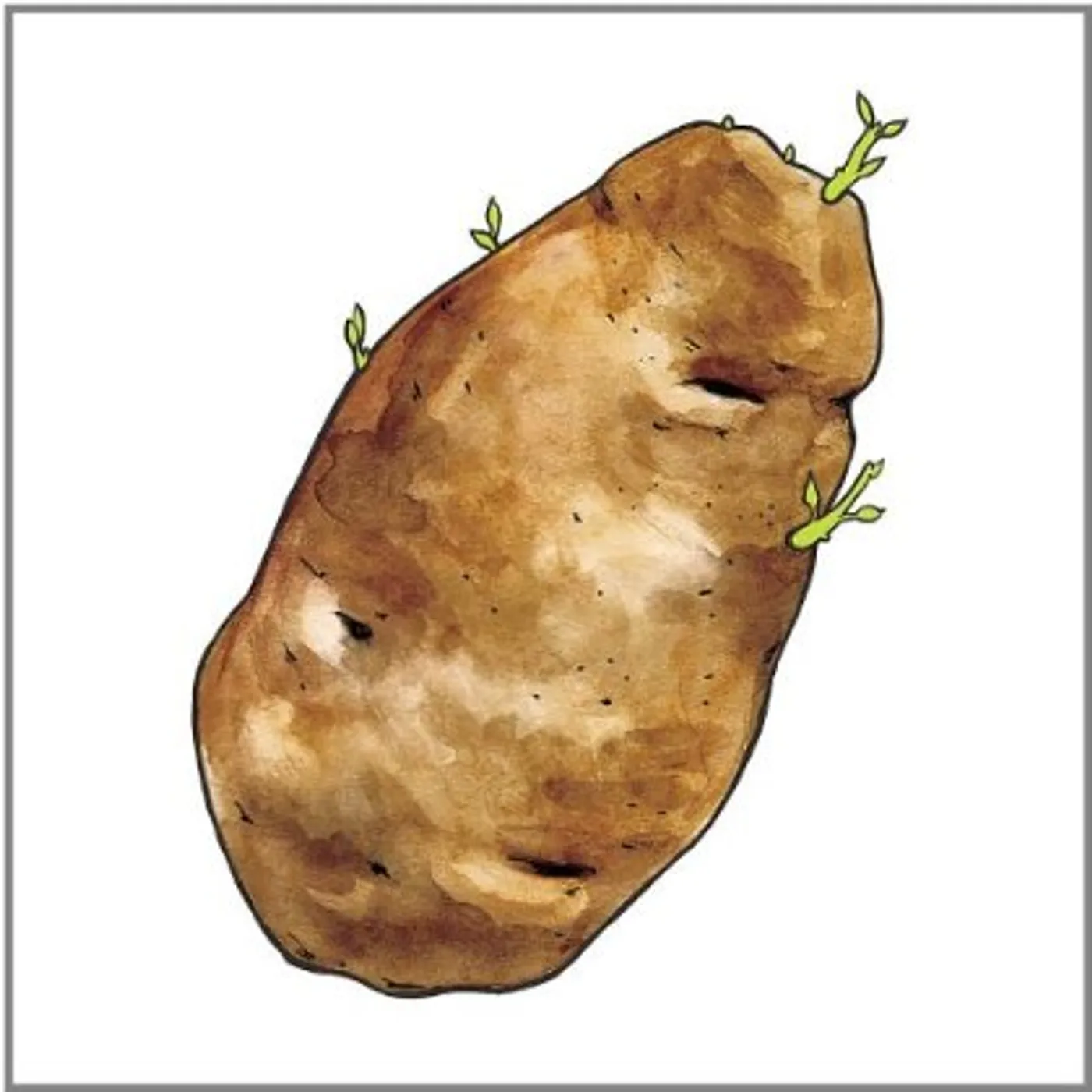 Sonar THE SPUD-EP CD