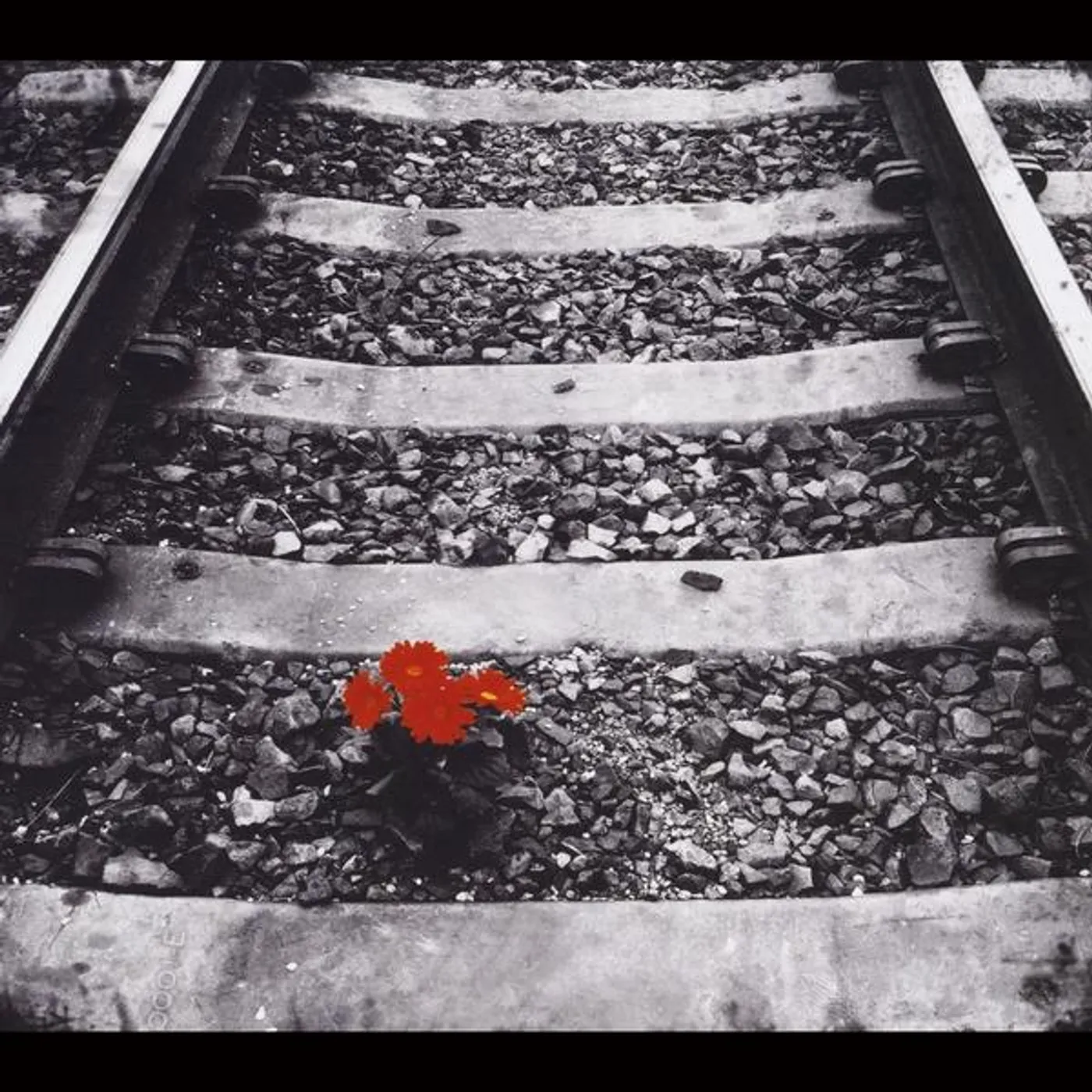 Left On Red TRACKS CD