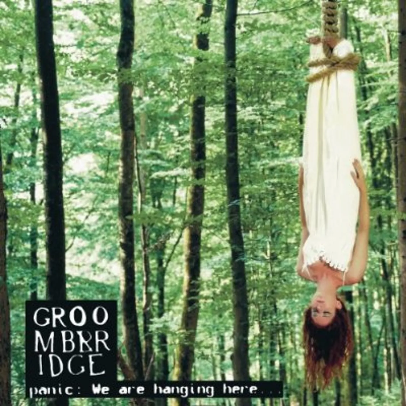 Groombridge PANIC: WE ARE HANGING HERE CD