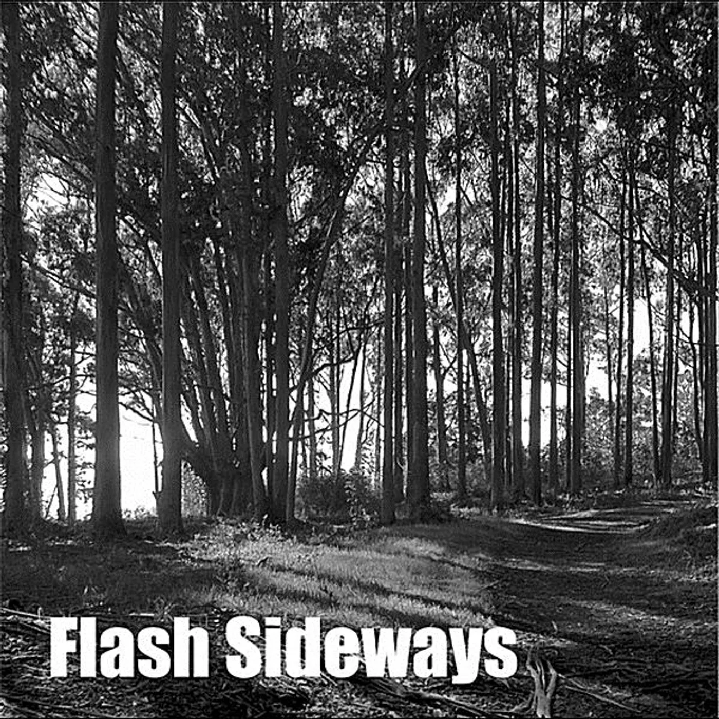Uplink FLASH SIDEWAYS CD