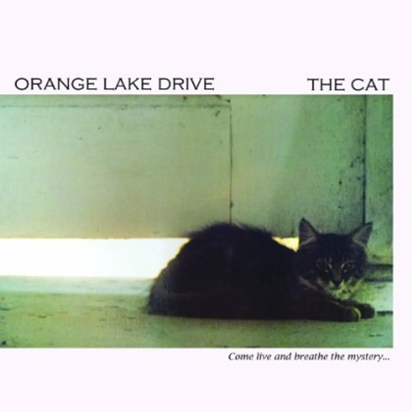 Orange Lake Drive CAT CD
