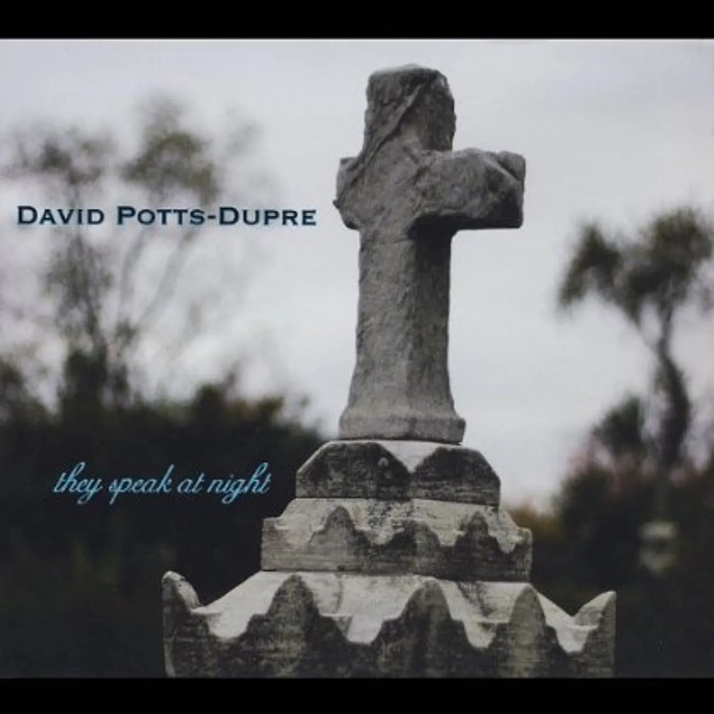 David Potts-Dupre THEY SPEAK AT NIGHT CD