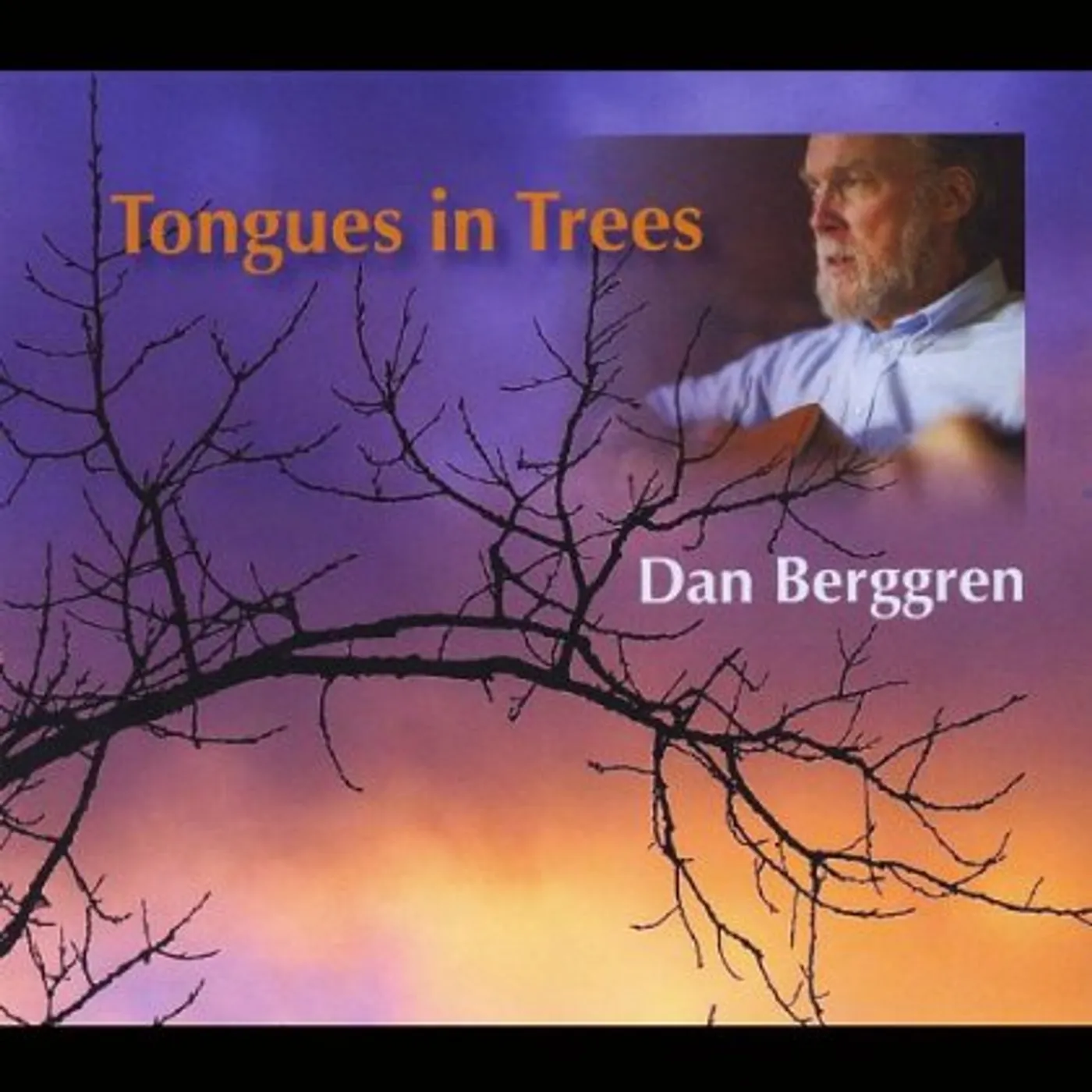 Dan Berggren TONGUES IN TREES CD