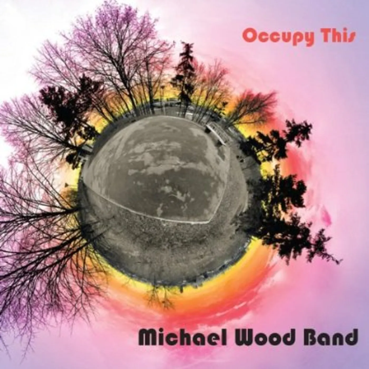 Michael Wood Band OCCUPY THIS CD