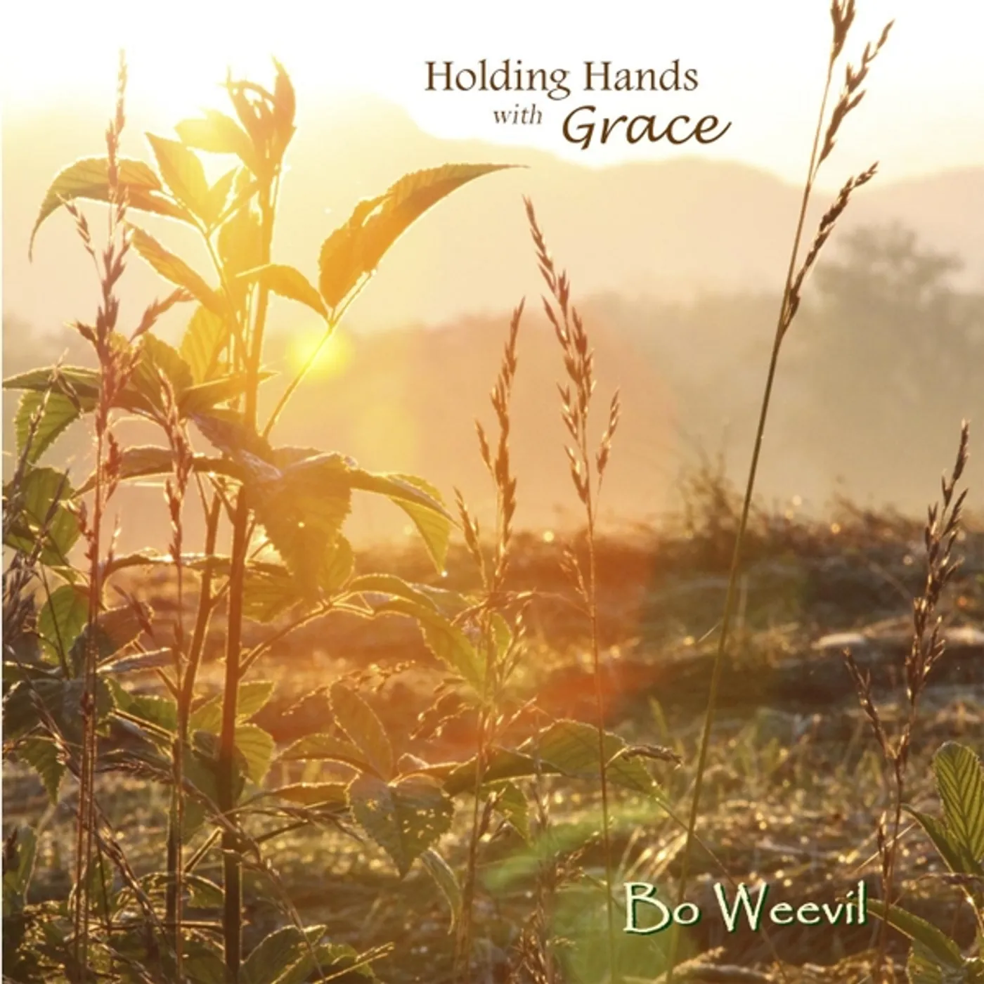 Bo Weevil HOLDING HANDS WITH GRACE CD