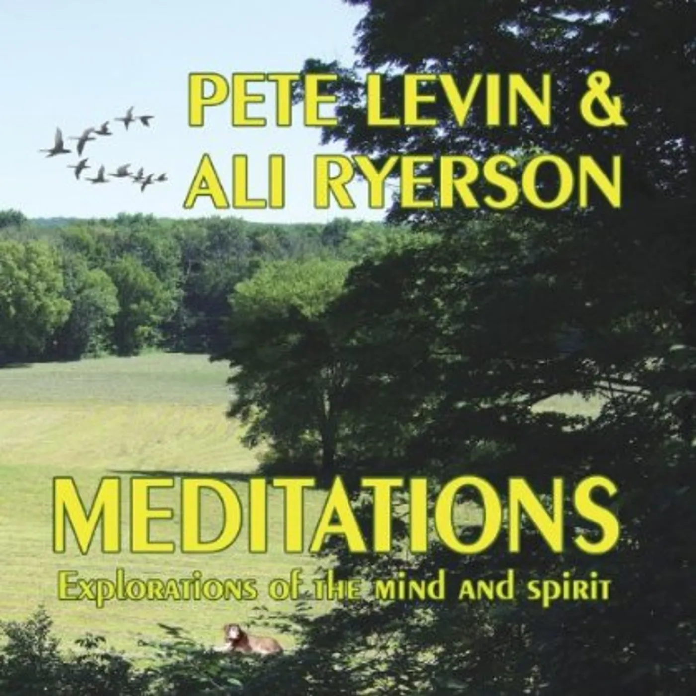Pete Levin MEDITATIONS: EXPLORATIONS OF THE MIND & SPIRIT CD