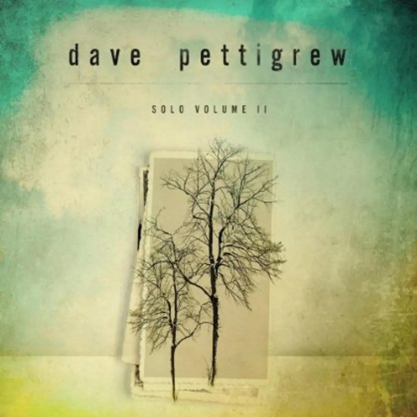 Dave Pettigrew SOLO 2 CD