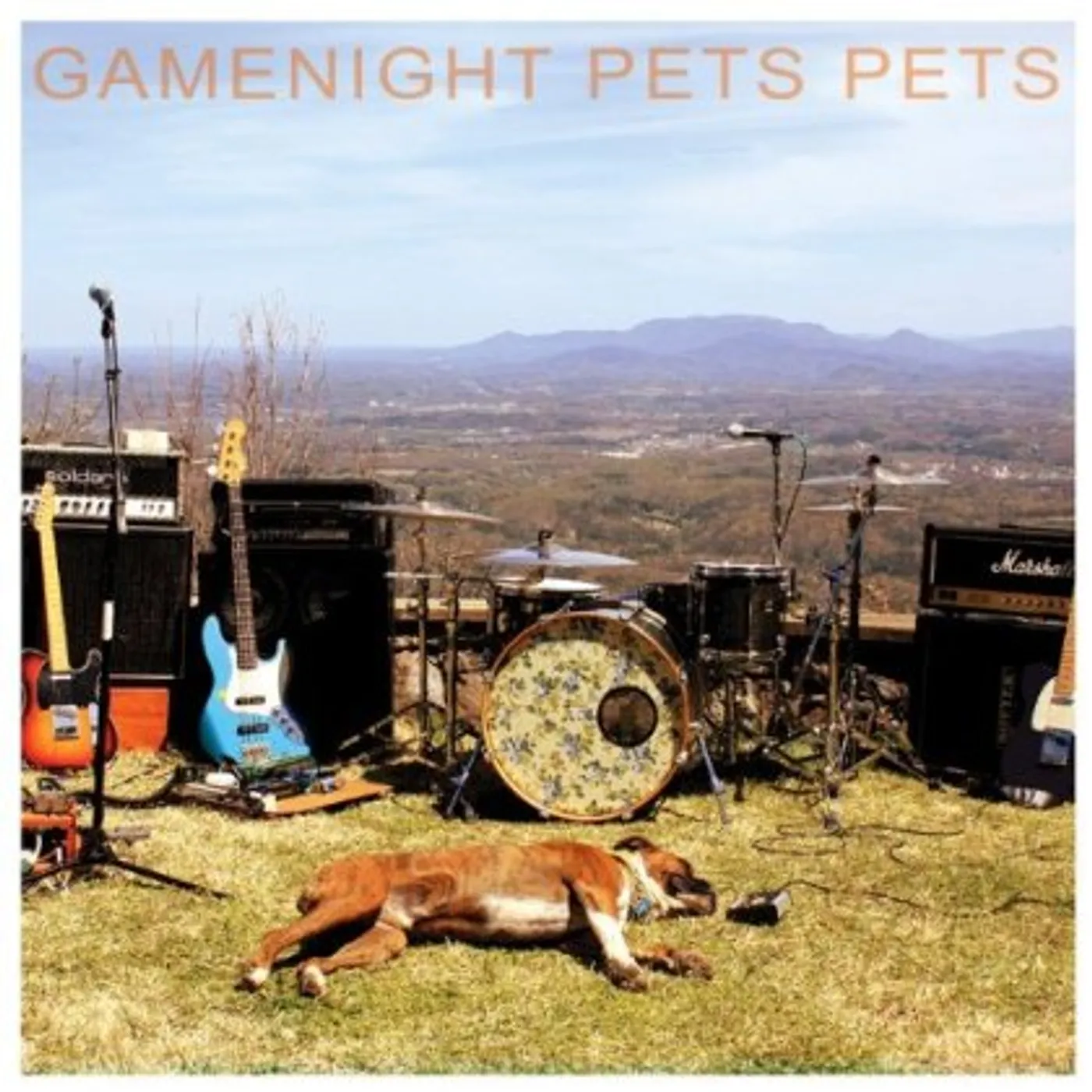 Gamenight PETS PETS CD