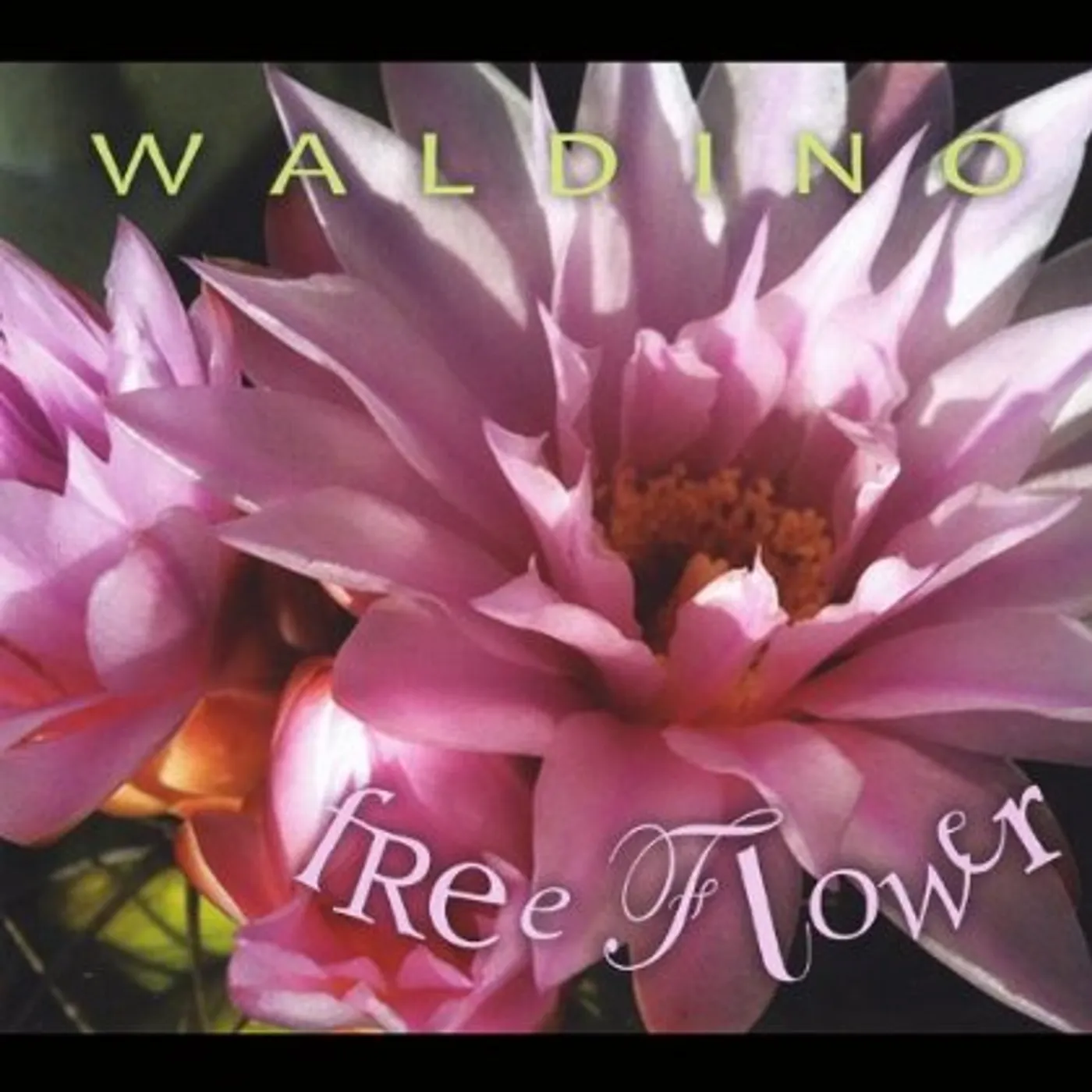 Waldino FREE FLOWER CD