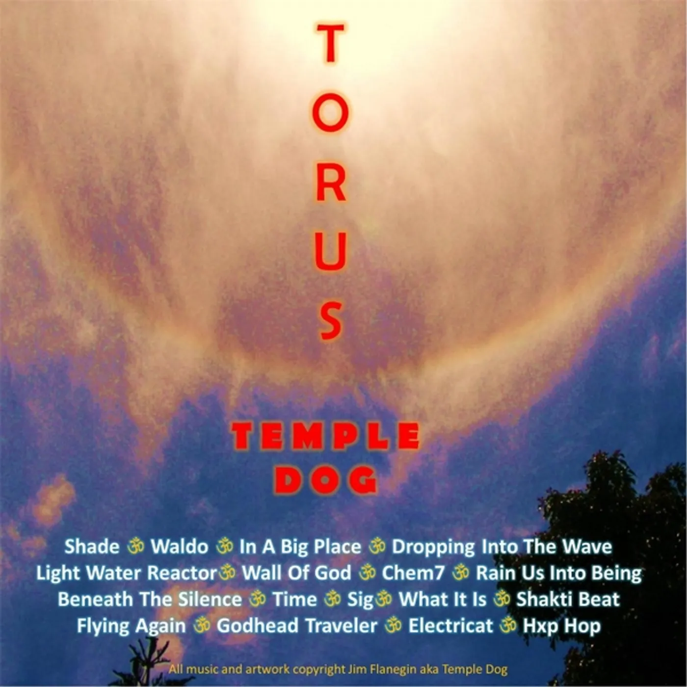 Temple Dog TORUS CD