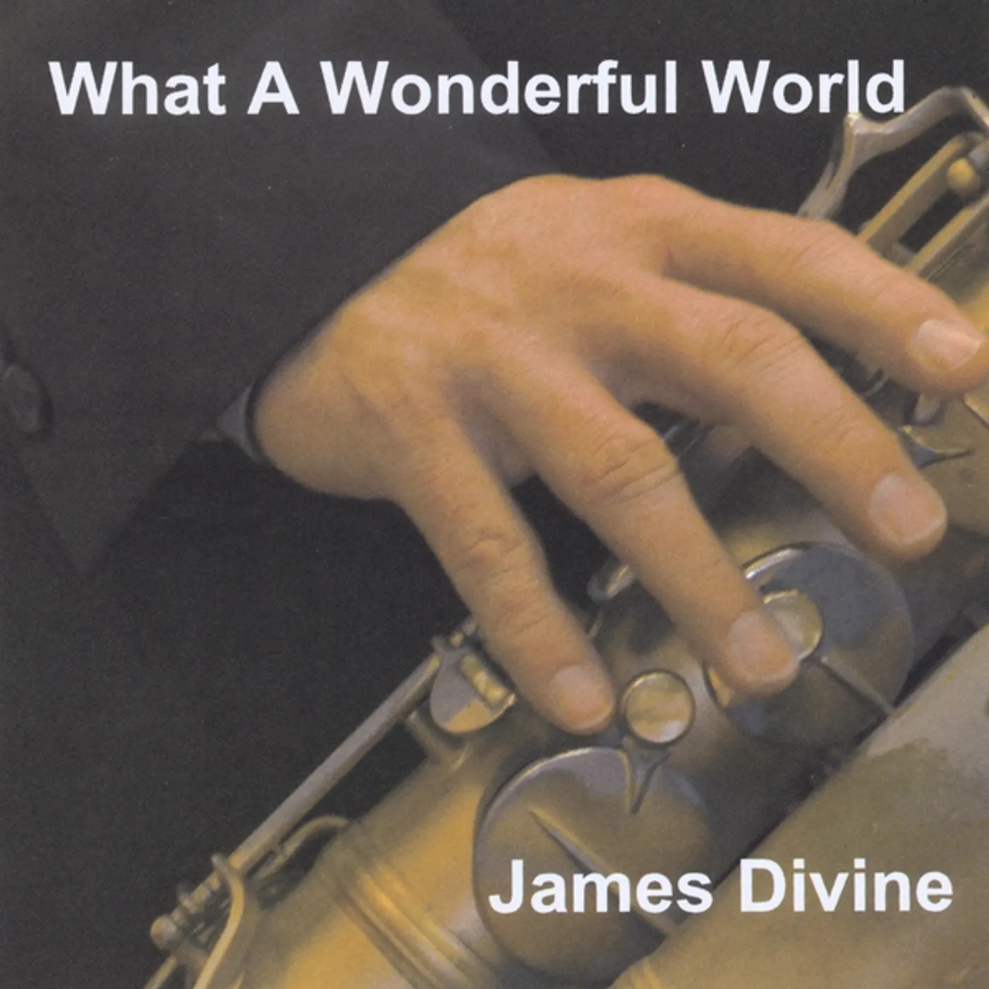 James Divine WHAT A WONDERFUL WORLD CD