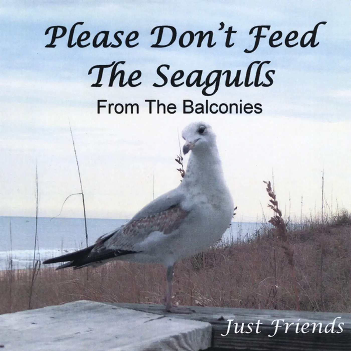 Just Friends PLEASE DON'T FEED THE SEAGULLS FROM THE BALCONIES CD