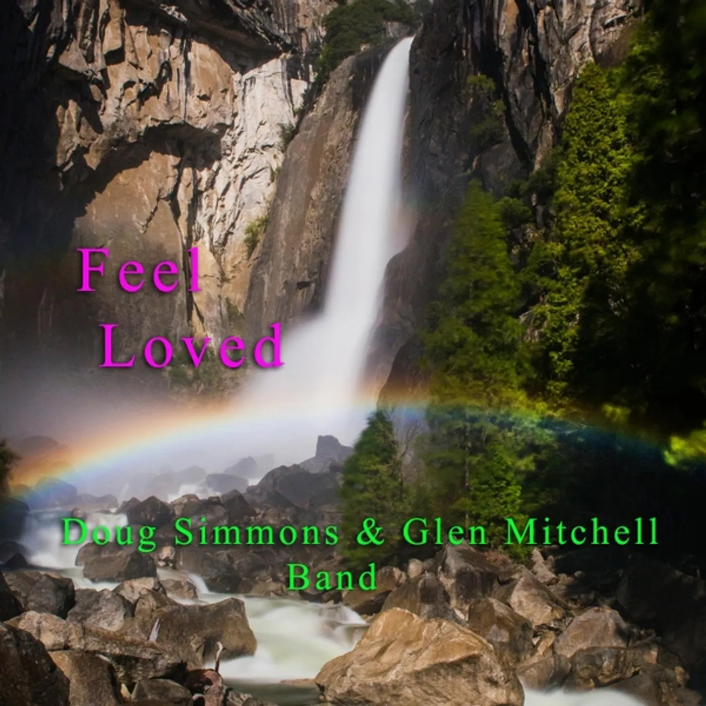 Doug Simmons & Glen Mitchell Band FEEL LOVED CD