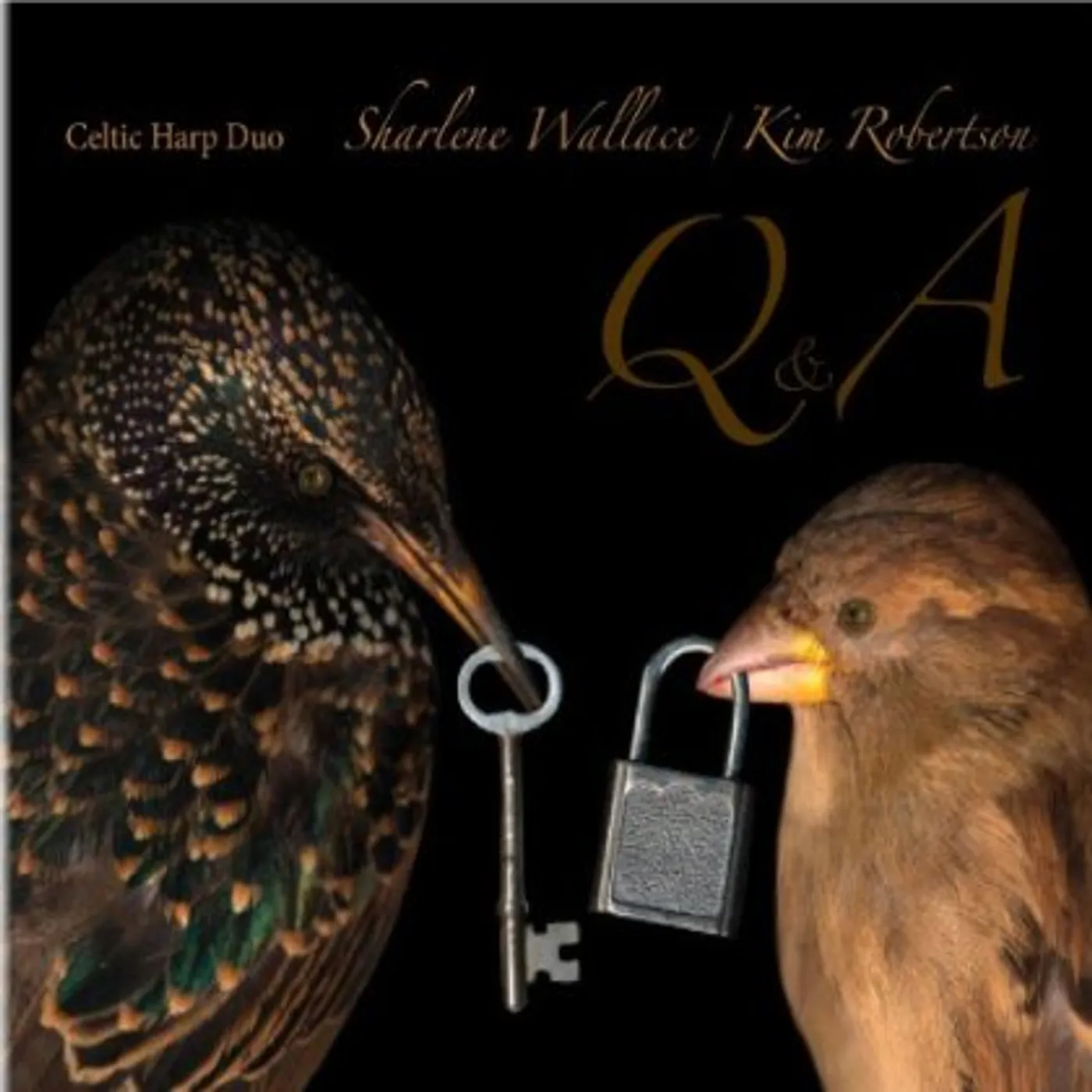 Sharlene Wallace Q & A CD