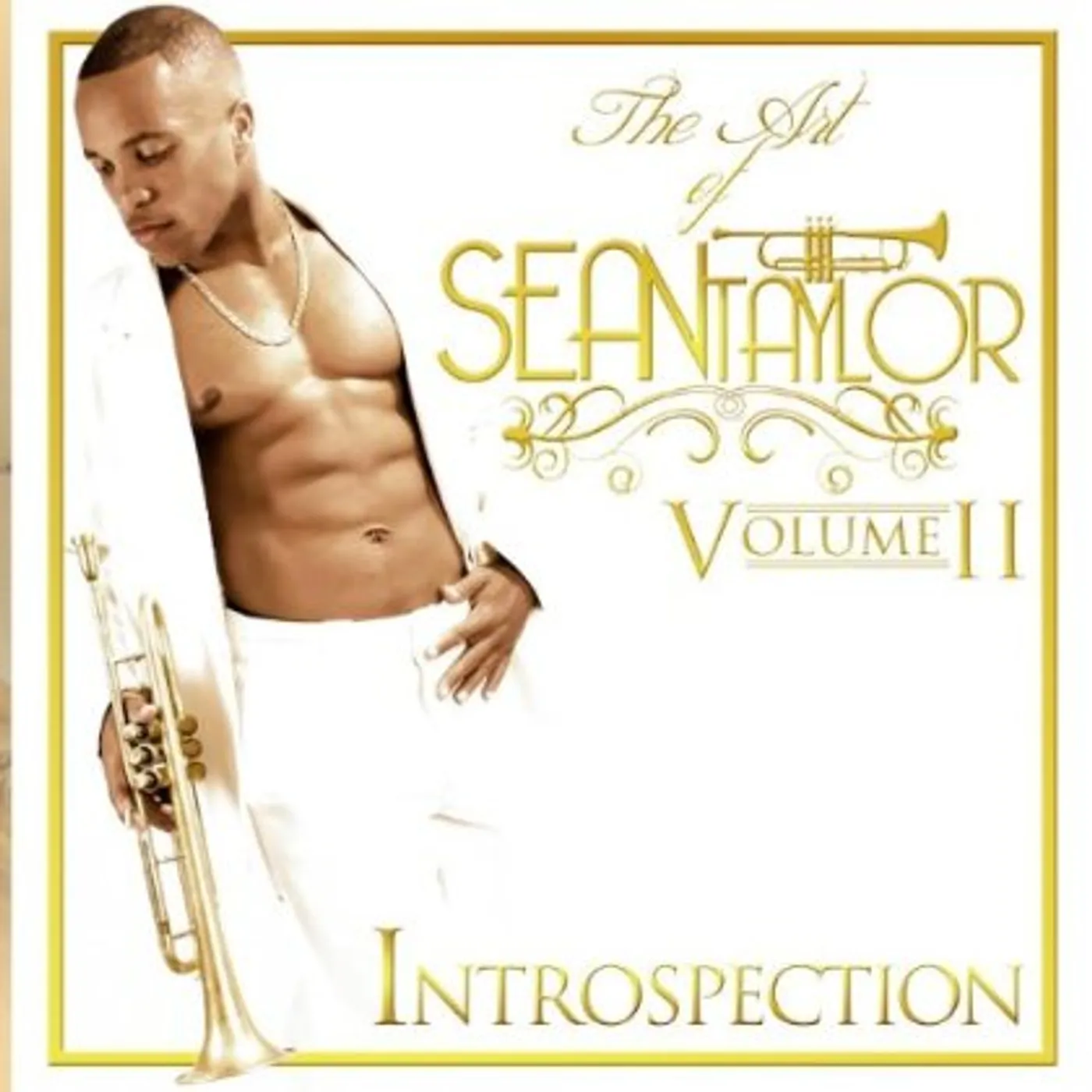 ART OF SEAN TAYLOR: INTROSPECTION 2 CD