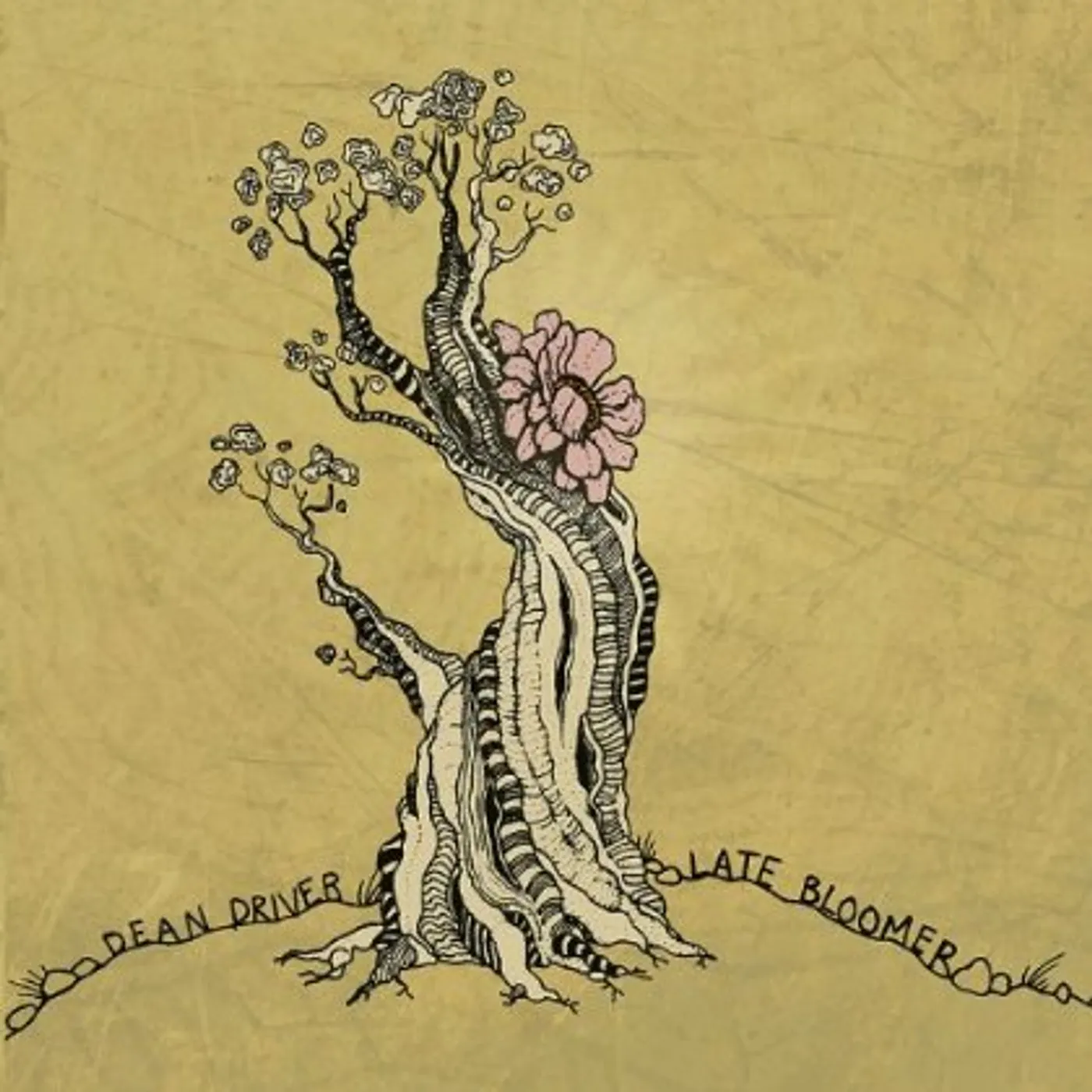 Dean Driver LATE BLOOMER CD