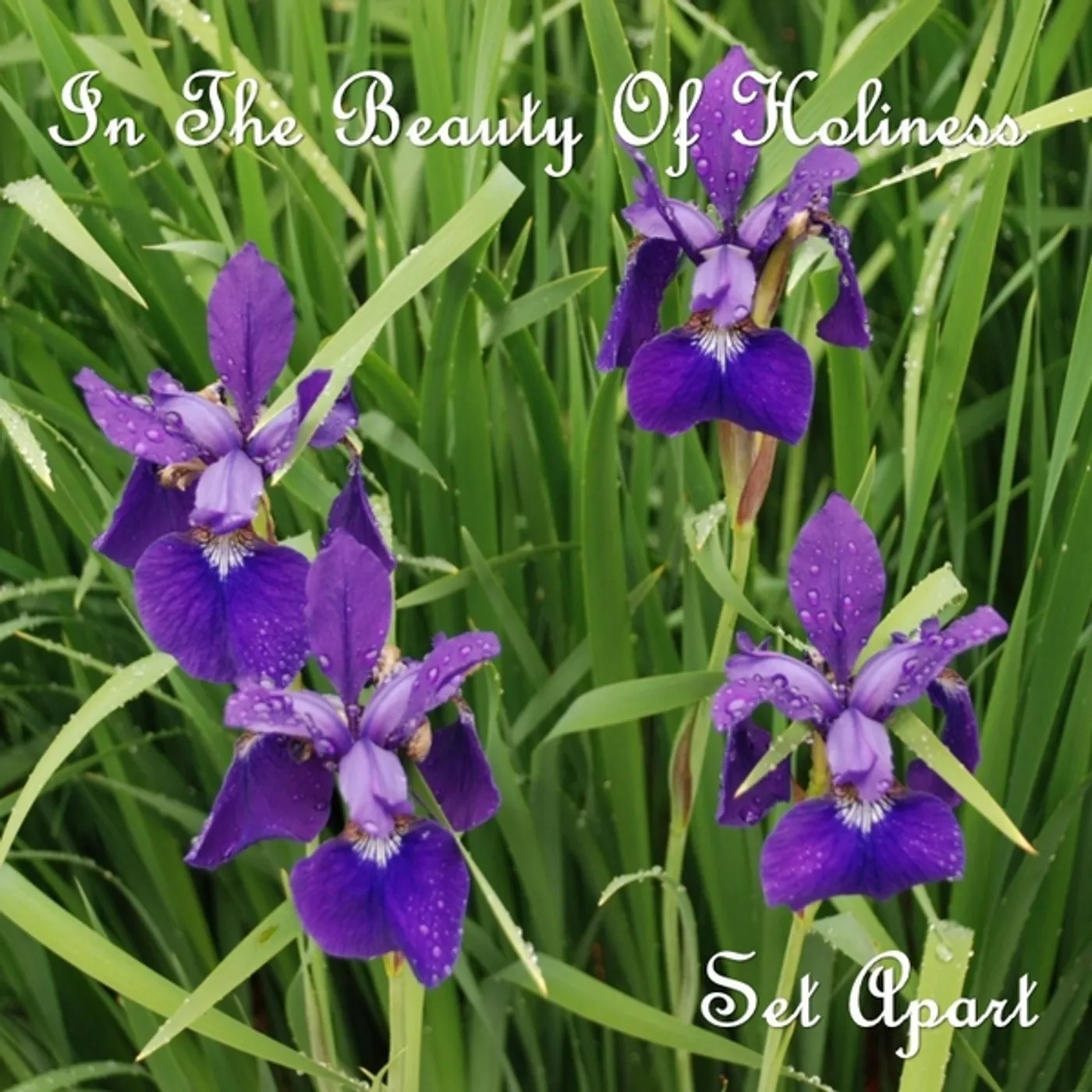 Set Apart IN THE BEAUTY OF HOLINESS CD