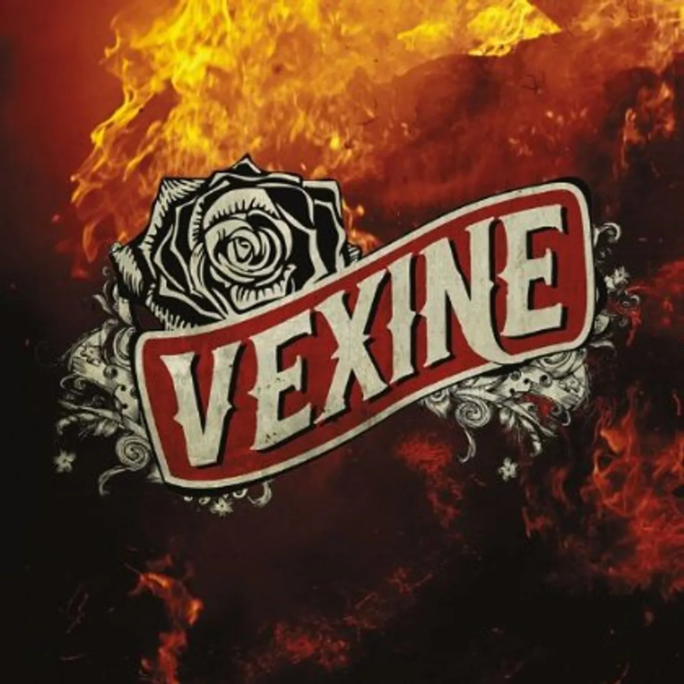 VEXINE CD