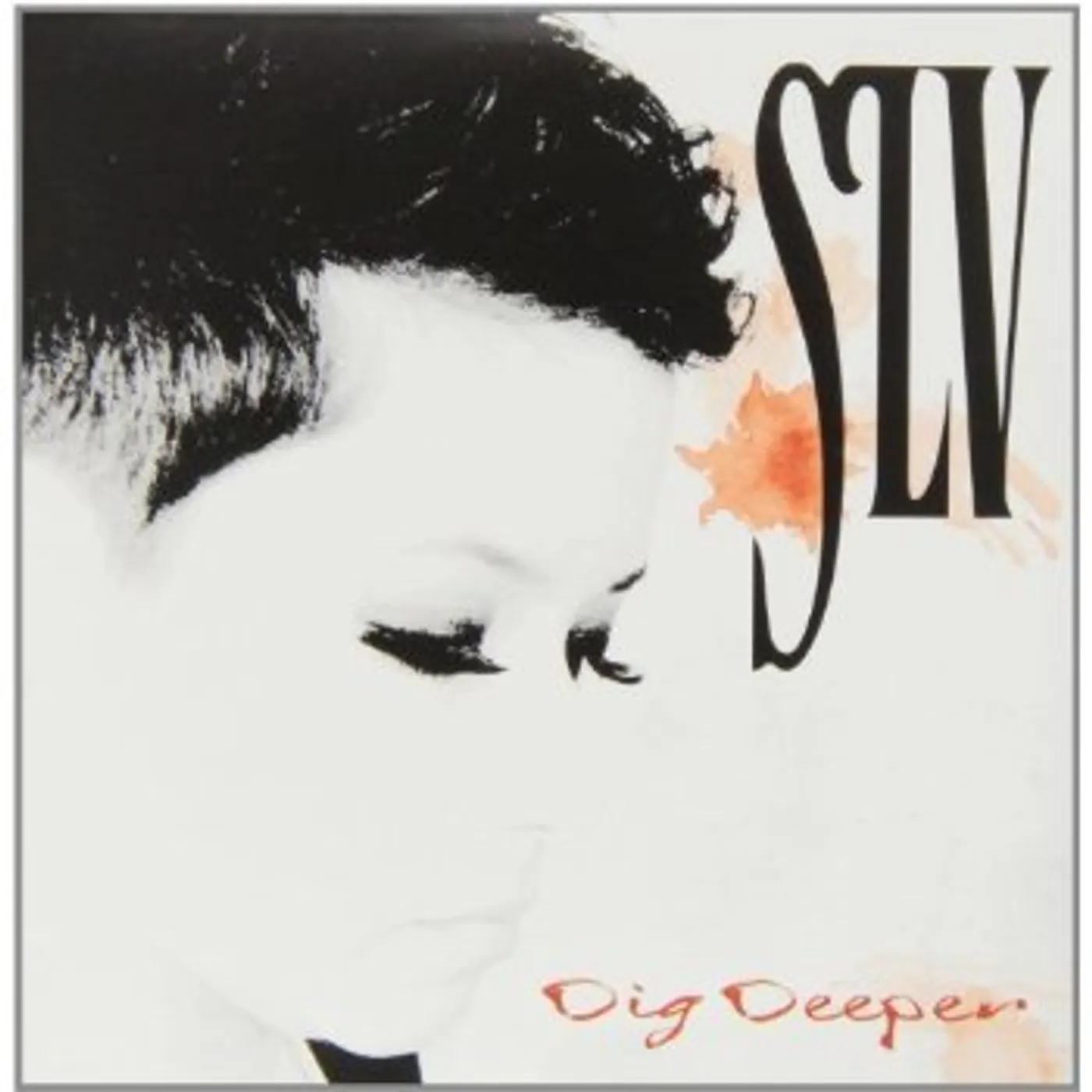 SLV DIG DEEPER CD