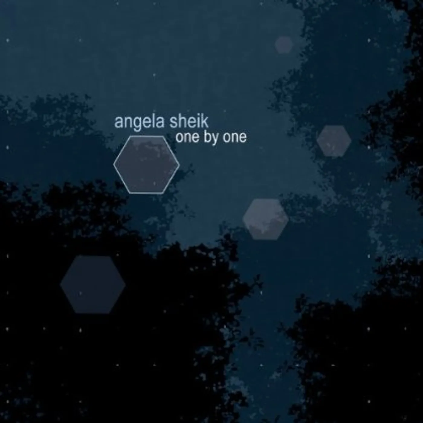 Angela Sheik ONE BY ONE CD