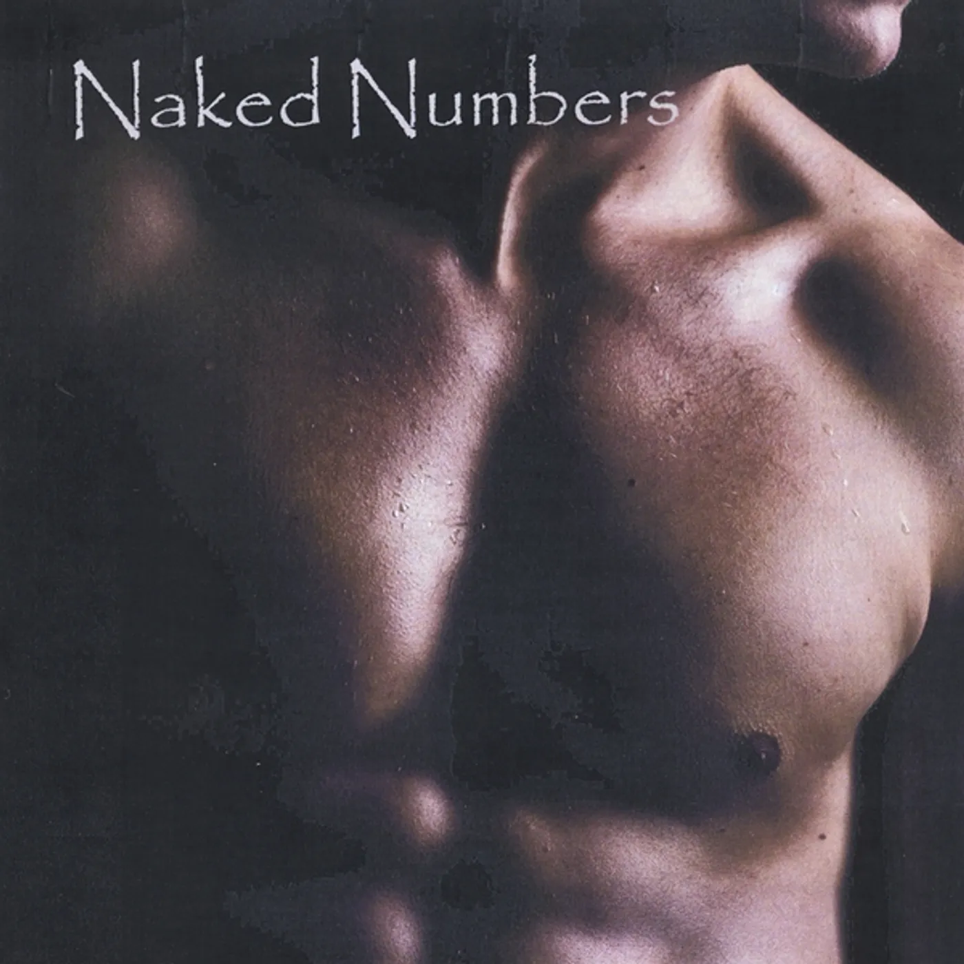 Ryan Michael Galloway NAKED NUMBERS CD