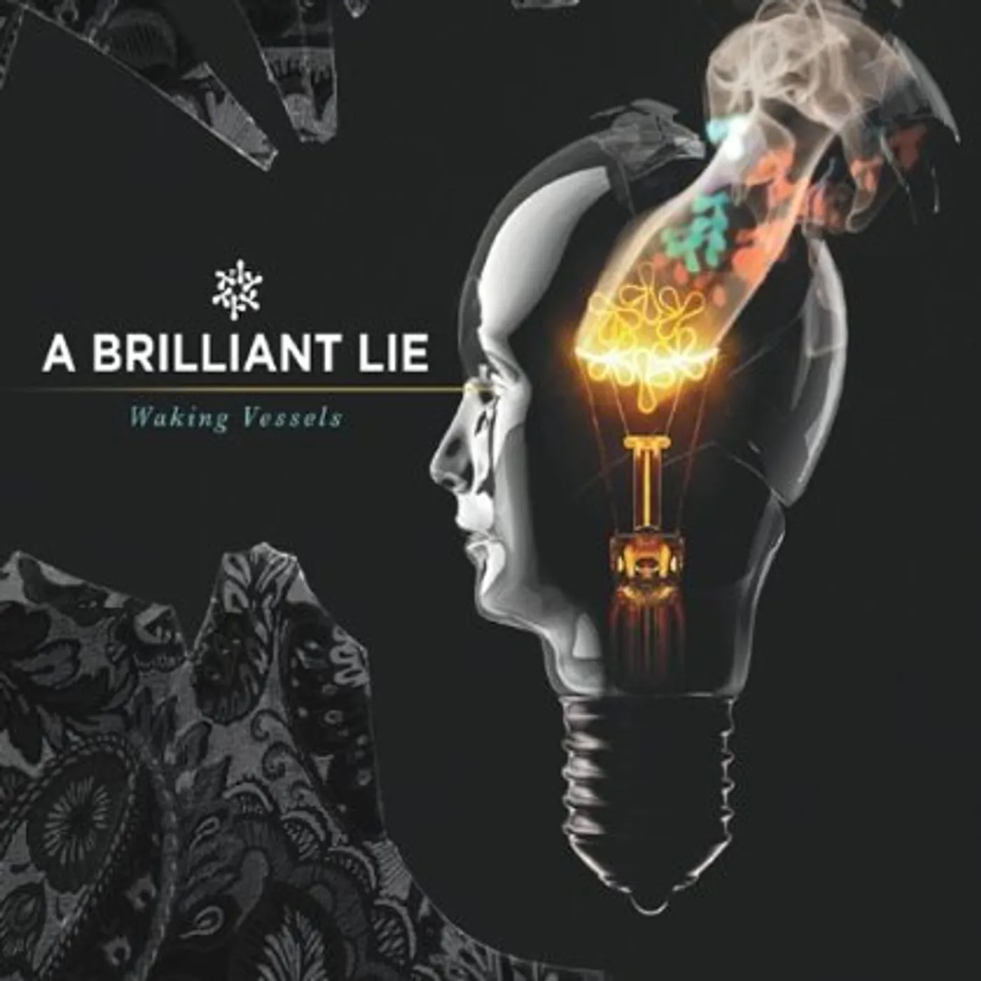 A Brilliant Lie WAKING VESSELS CD