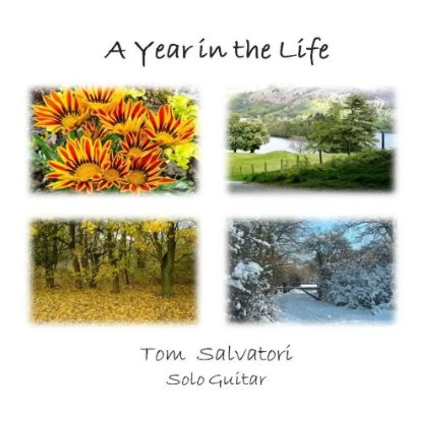 Tom Salvatori A YEAR IN THE LIFE CD