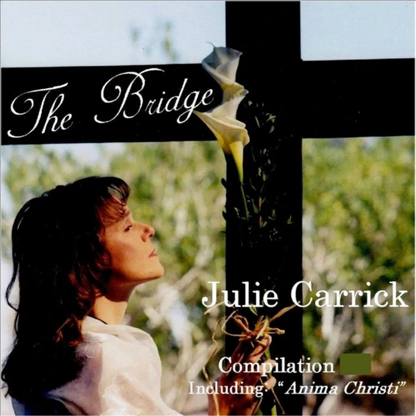 Julie Carrick THE BRIDGE COMPILATION CD