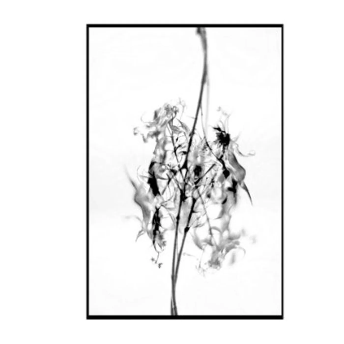 Ben Patton UNBECOMING CD