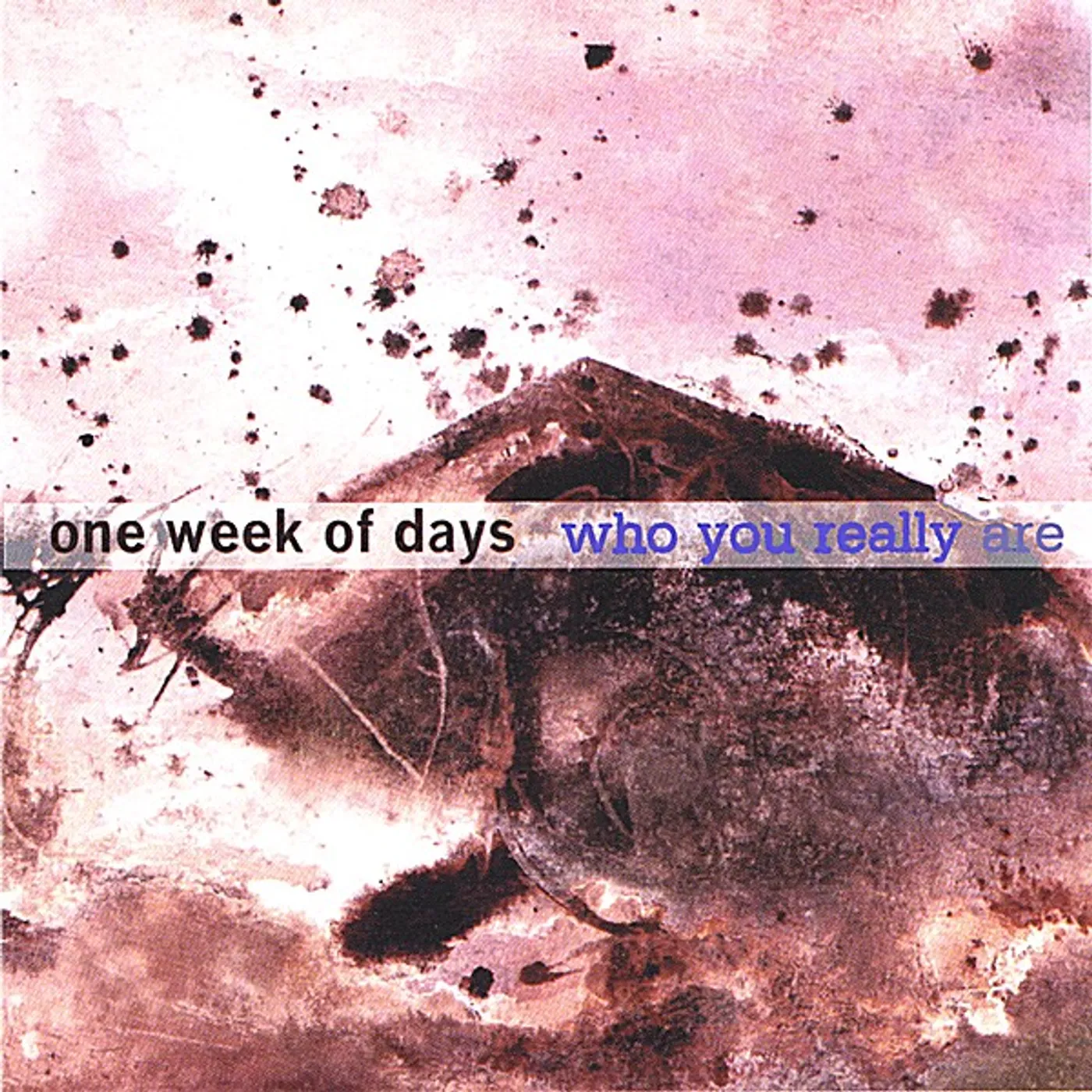 One Week Of Days WHO YOU REALLY ARE CD