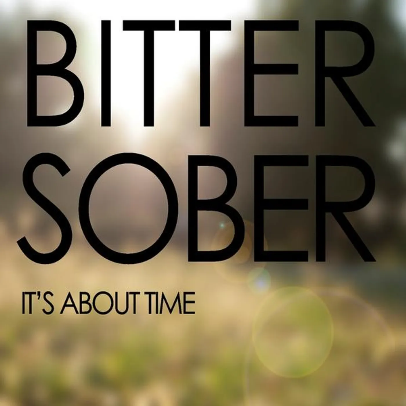 Bitter Sober IT'S ABOUT TIME CD