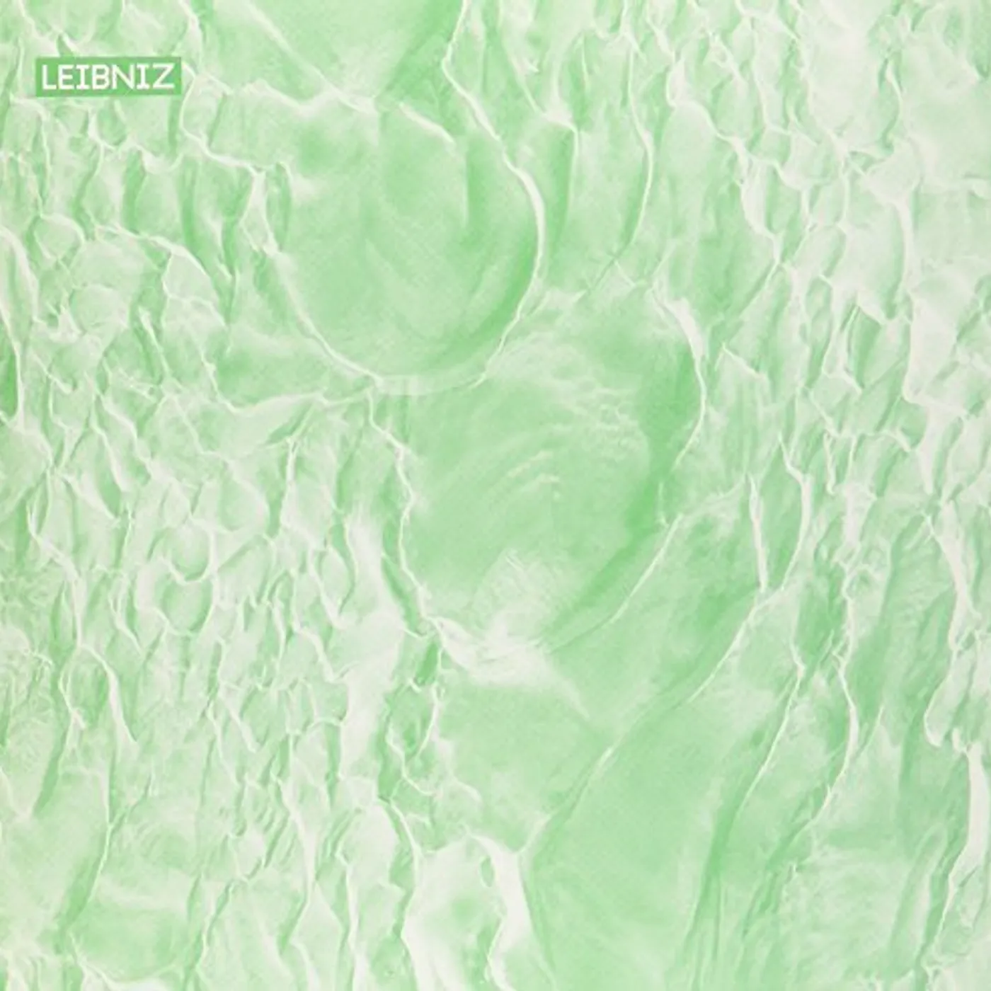 Leibniz What Matters Vinyl Record
