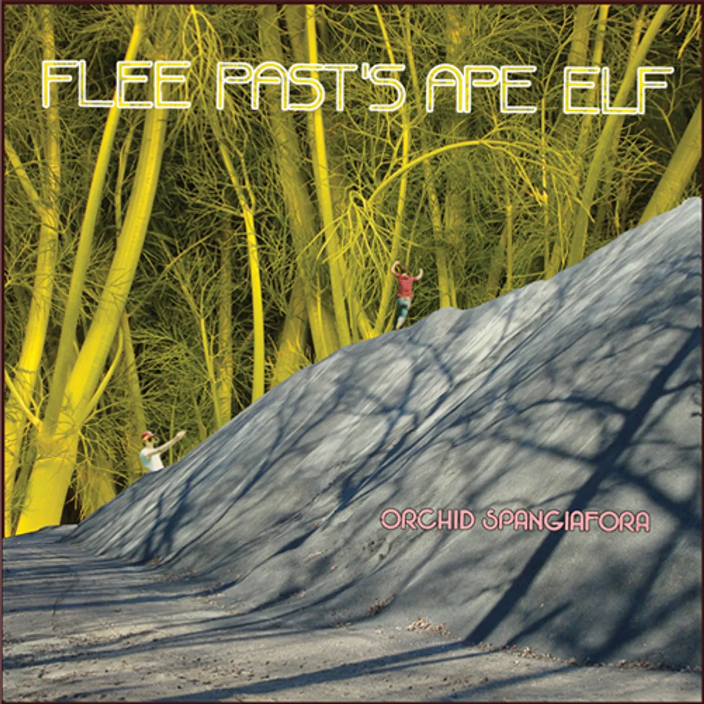 Orchid Spangiafora FLEE PASTS APE ELF Vinyl Record