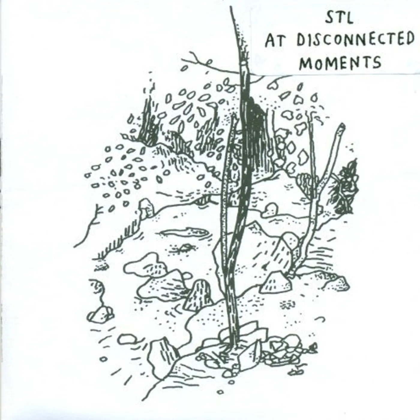 STL At Disconnected Moments Vinyl Record