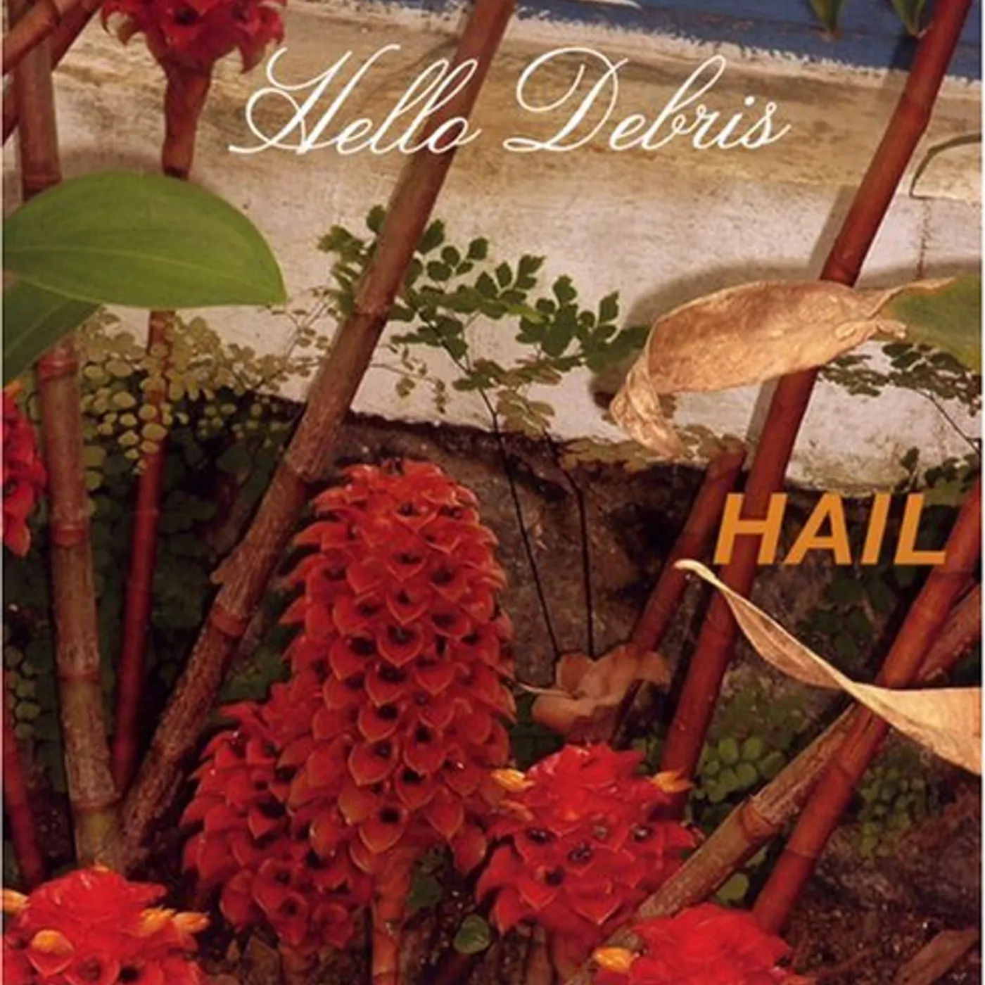 Hail HELLO DEBRIS CD