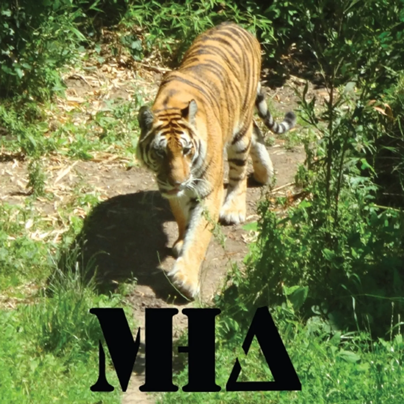 Matt Holdaway's Army MATT HOLDAWAYS ARMY-TIGER CD
