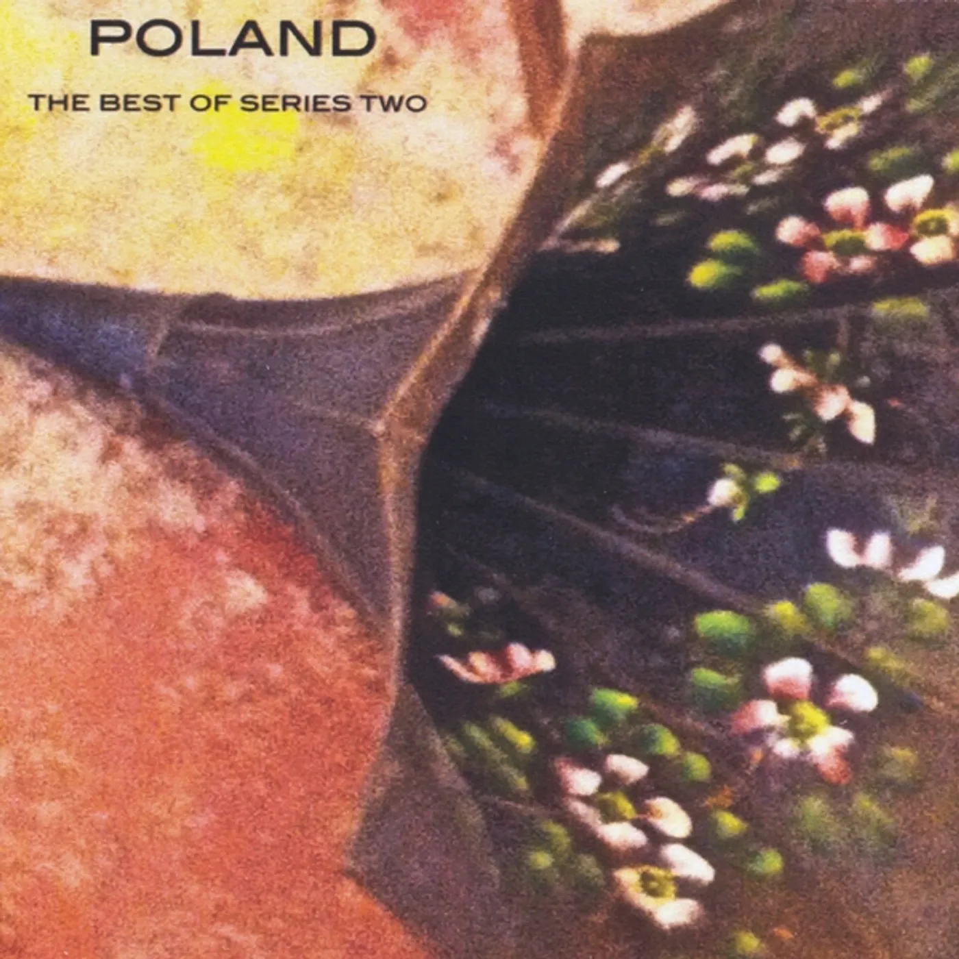 Poland THE BEST OF SERIES TWO CD