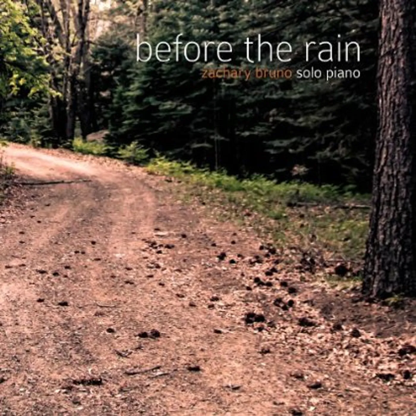 Zachary Bruno BEFORE THE RAIN CD