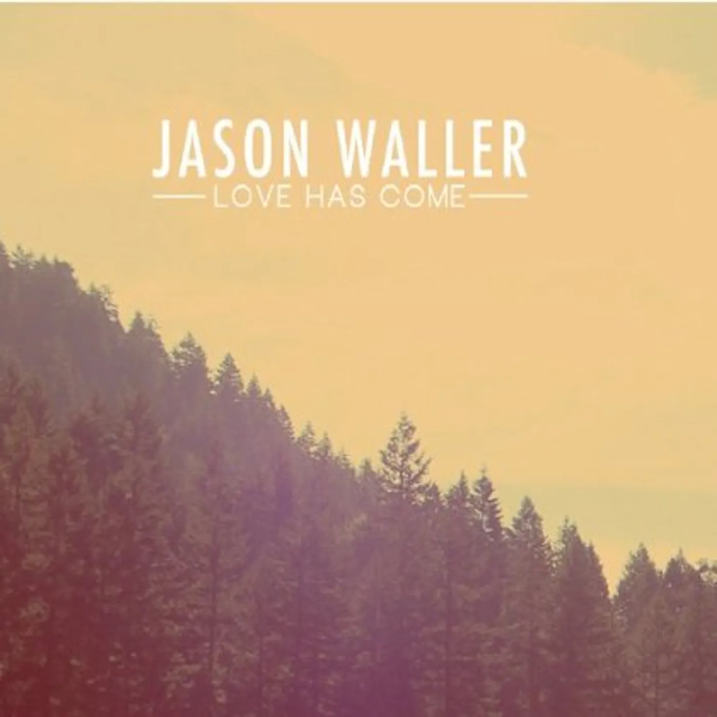 Jason Waller LOVE HAS COME CD