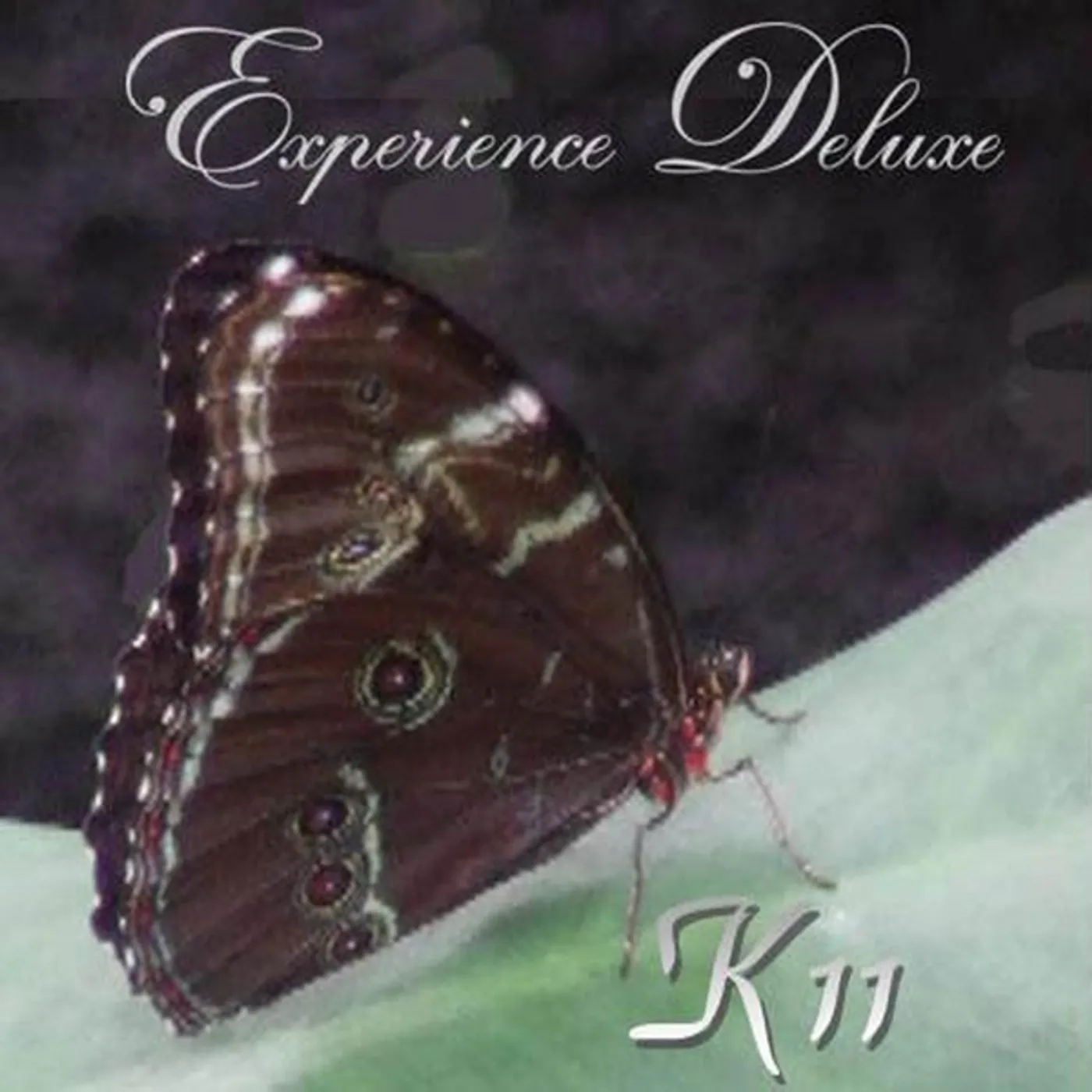 Experience Deluxe K11 CD
