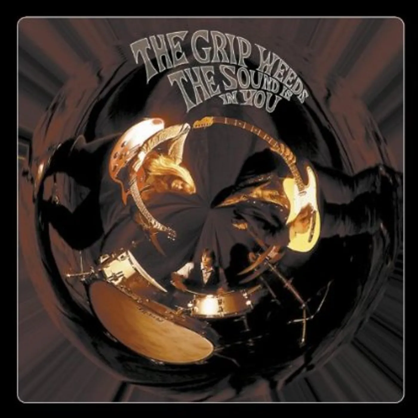 The Grip Weeds THE SOUND IS IN YOU CD