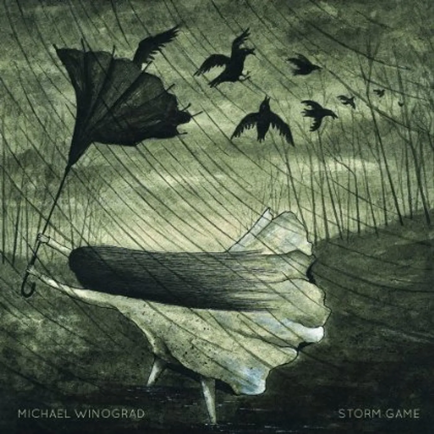 Michael Winograd STORM GAME CD
